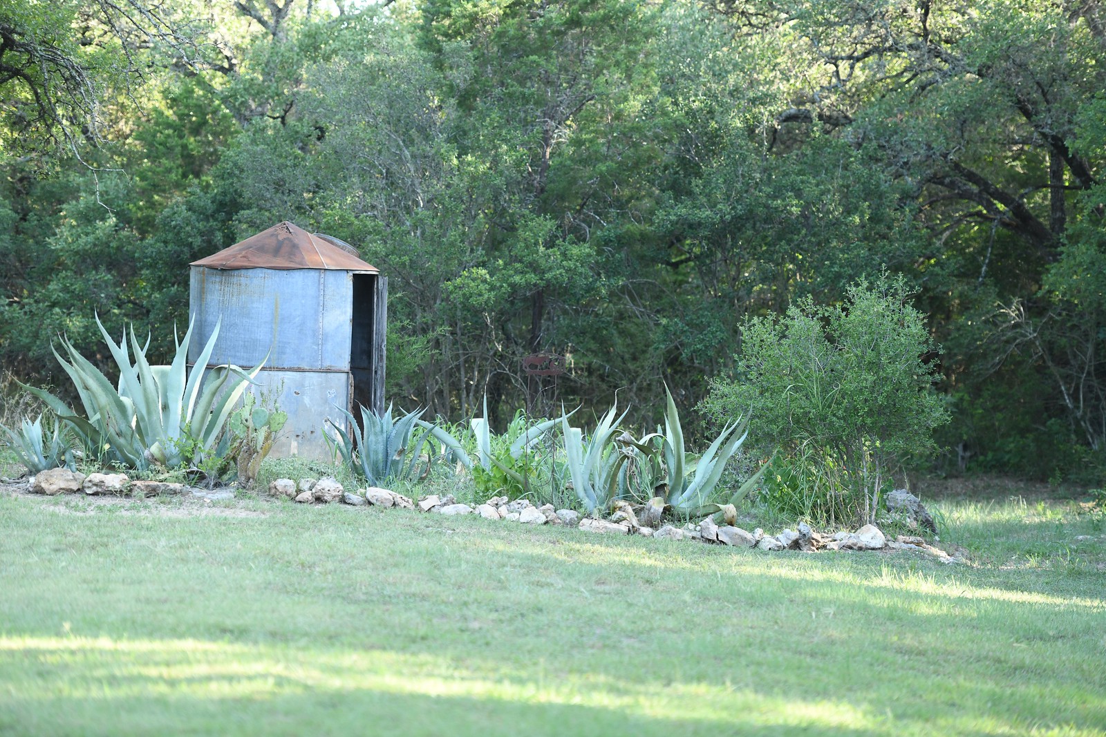DSC_5095-X3